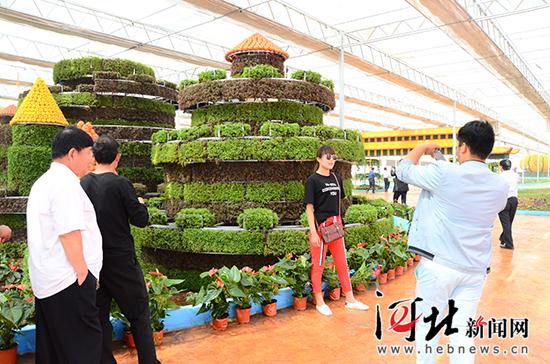第一届邯郸·三江高科技蔬菜博览会开幕