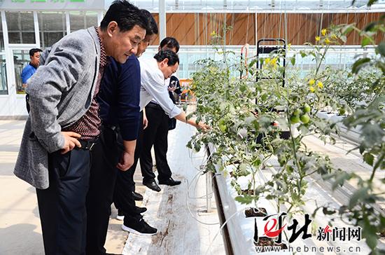 第一届邯郸·三江高科技蔬菜博览会开幕